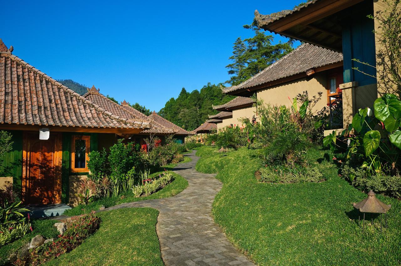 Strawberry Hill Hotel & Restaurant Bedugul  Exterior photo