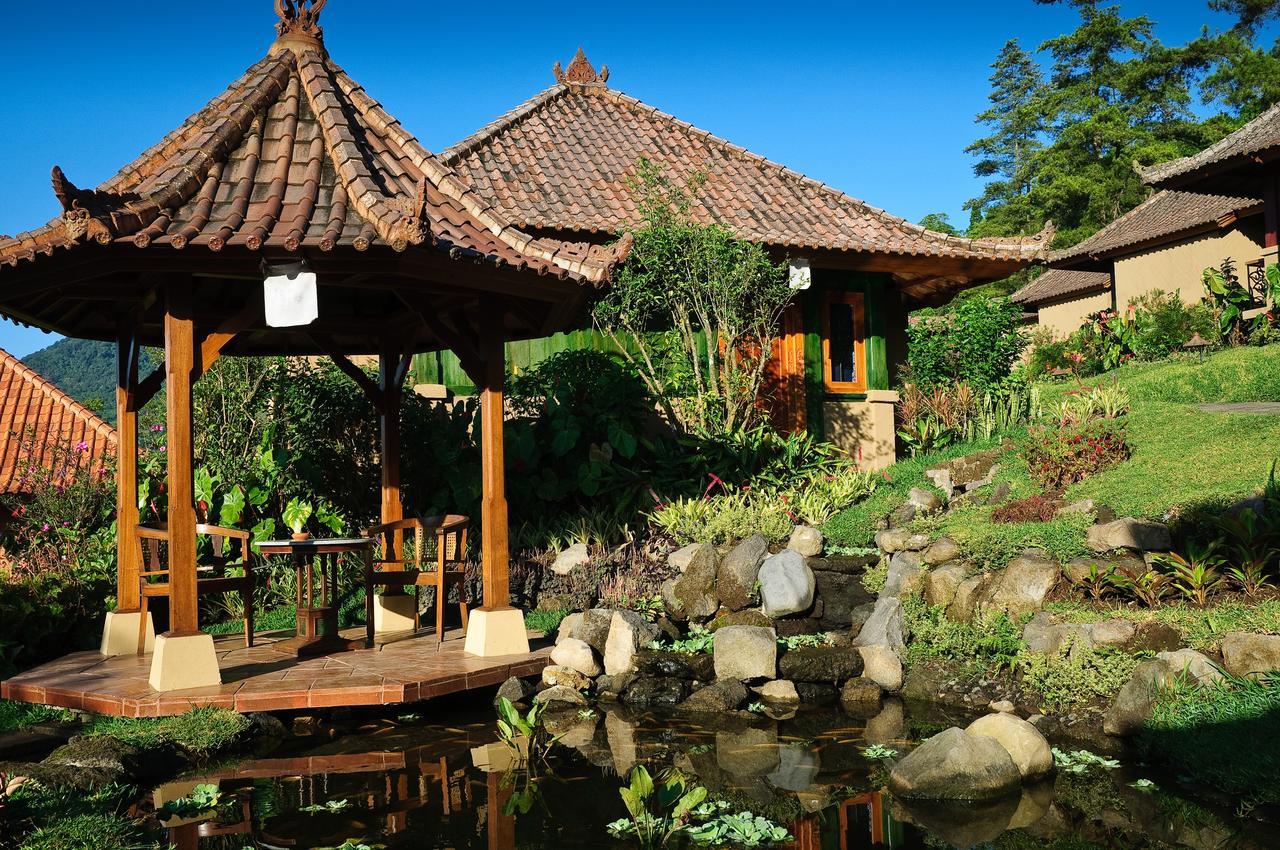 Strawberry Hill Hotel & Restaurant Bedugul  Exterior photo